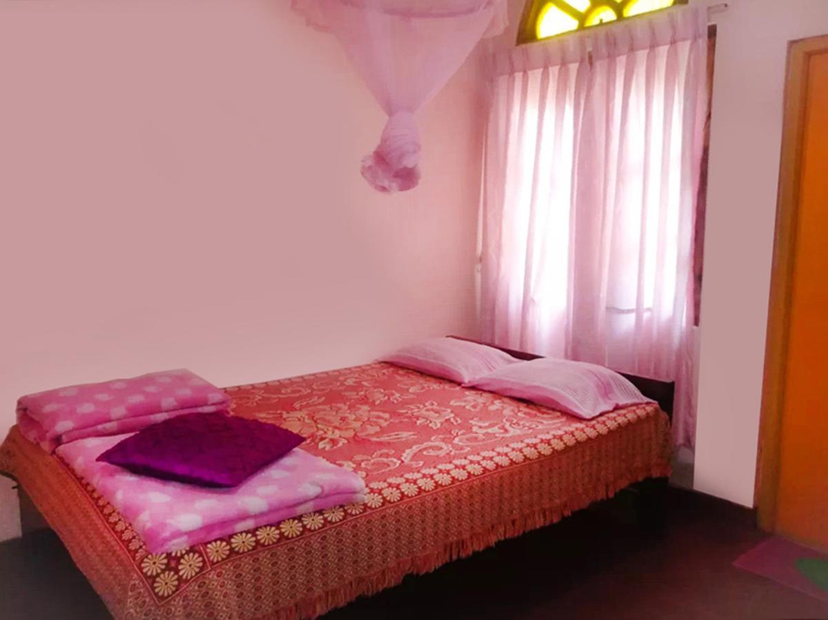 Silent Night Homestay エッラ エクステリア 写真