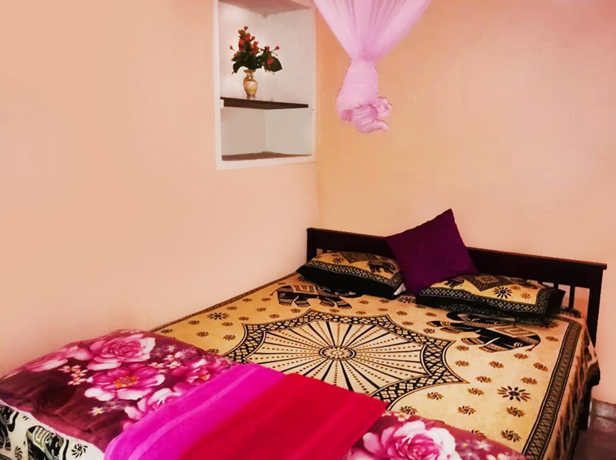 Silent Night Homestay エッラ エクステリア 写真